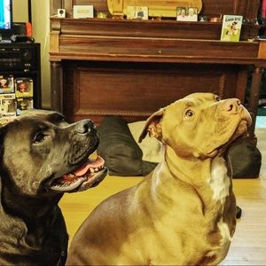 Meet your Posher, Tracy